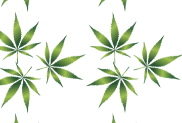 cannabis-1032131_1280